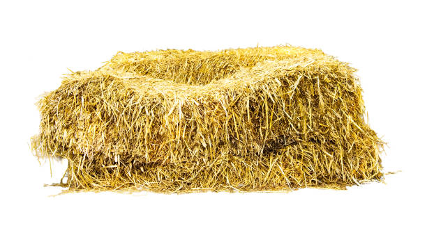 istock Golden yellow haystack isolated 1366346944