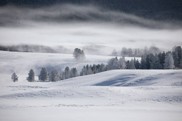 istock Hayden Valley in Winter 1366351937