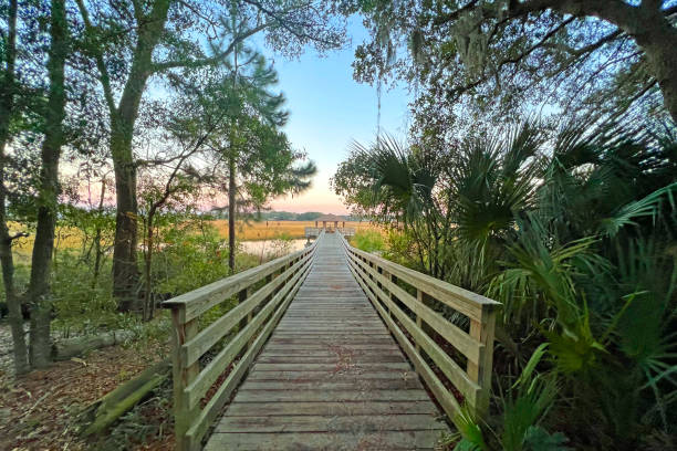 istock Marsh View from Freedom Park-Hilton Head,South Carolina 1366353272