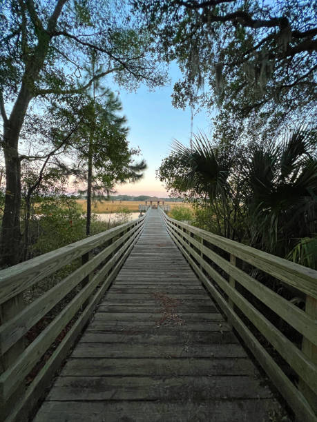 istock Marsh View from Freedom Park-Hilton Head,South Carolina 1366353284