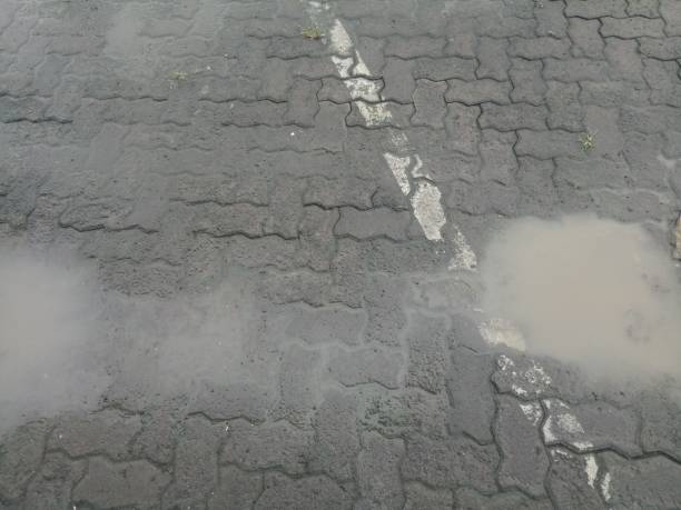 istock The wet brick paving road 1366359482