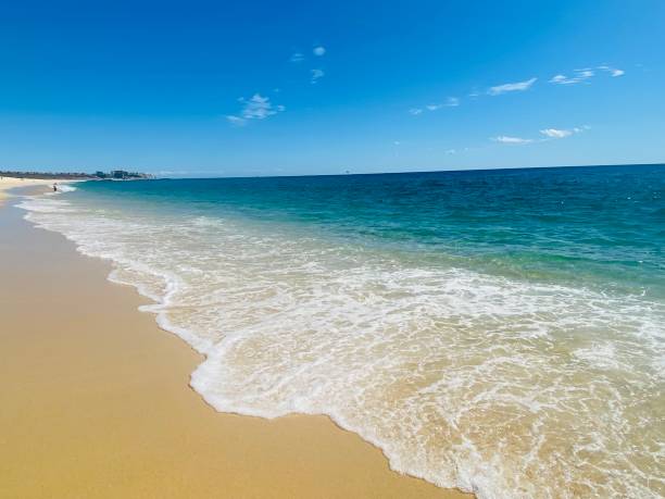 istock Sea of Cortez 1366360966