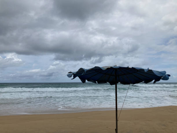 istock beach umbrella on the beach with strong windy 1366367997