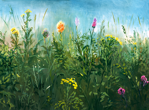 Summer meadow, oil painting