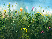 istock Wildflowers, painting 1366369811