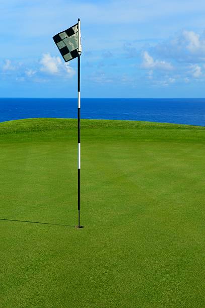 istock Flag and Pin on Hole Overlooking Pacific Ocean 136637145