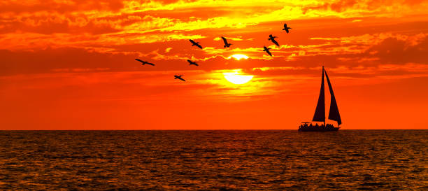istock Sailboat Ocean Sailing Sunset Banner 1366371939