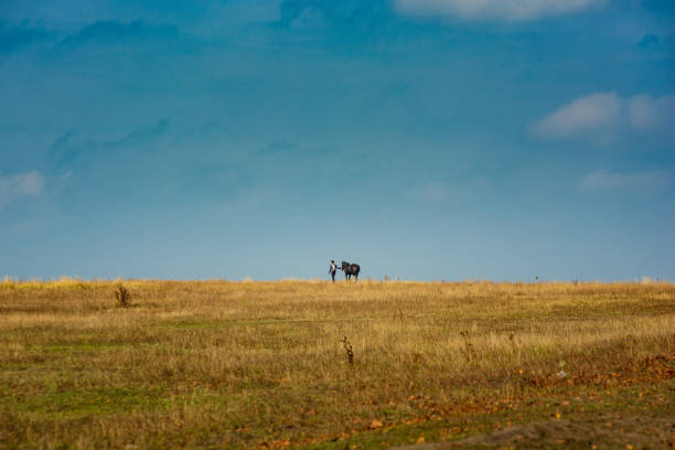 istock A man walks next to a horse in a field 1366381417