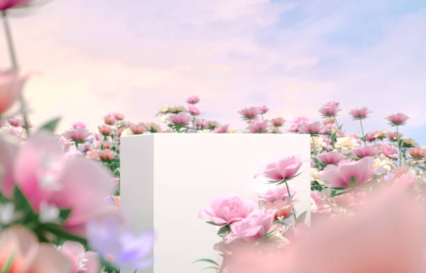 istock Natural beauty podium backdrop with spring rose flower field scene. 1366388759
