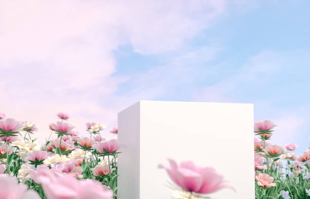 istock Natural beauty podium backdrop with spring rose flower field scene. 1366388764