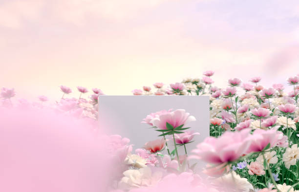 istock Natural beauty podium backdrop with spring rose flower field scene. 1366388765