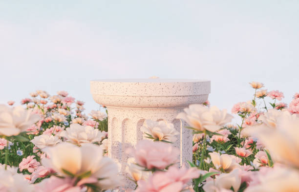 sfondo del podio di bellezza naturale con scena del campo di fiori di rosa primaverile. - rosa fiore foto e immagini stock