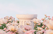 Natural beauty podium backdrop with spring rose flower field scene.