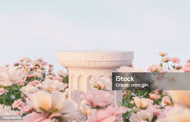 Natural Beauty Podium Backdrop With Spring Rose Flower Field Scene Stock Photo - Download Image Now