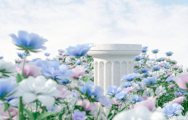 istock Natural beauty podium backdrop with spring rose flower field scene. 1366388818