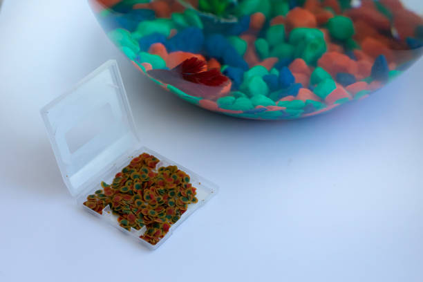 istock Dried flakes for fish in container for feeding pet. Aquarium 1366389013