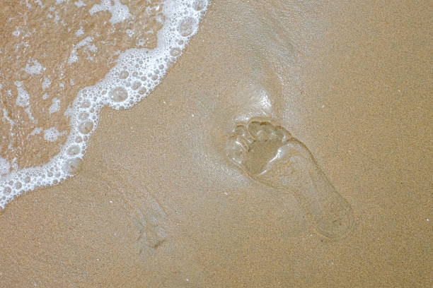 istock single footprint in the sand washed by wave 1366391831