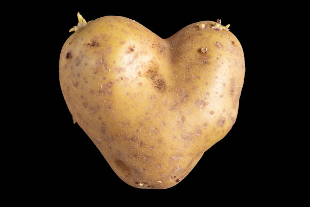 pozioma fotografia ziemniaka w kształcie serca - heart shape raw potato food individuality zdjęcia i obrazy z banku zdjęć