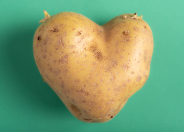 pozioma fotografia ziemniaka w kształcie serca - heart shape raw potato food individuality zdjęcia i obrazy z banku zdjęć