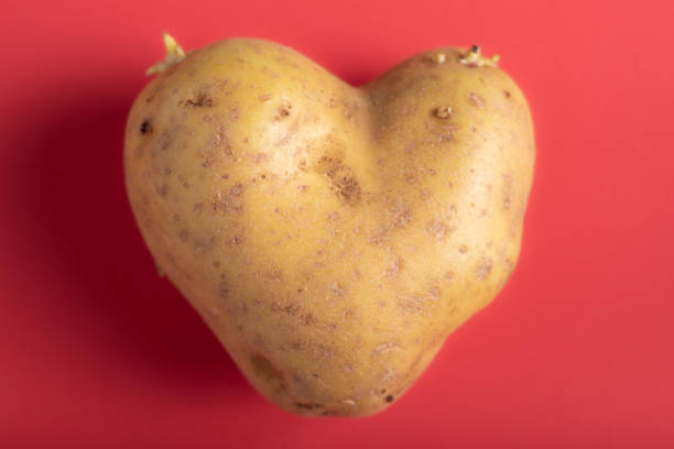 pozioma fotografia ziemniaka w kształcie serca - heart shape raw potato food individuality zdjęcia i obrazy z banku zdjęć