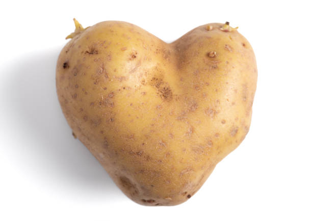 pozioma fotografia ziemniaka w kształcie serca - heart shape raw potato food individuality zdjęcia i obrazy z banku zdjęć