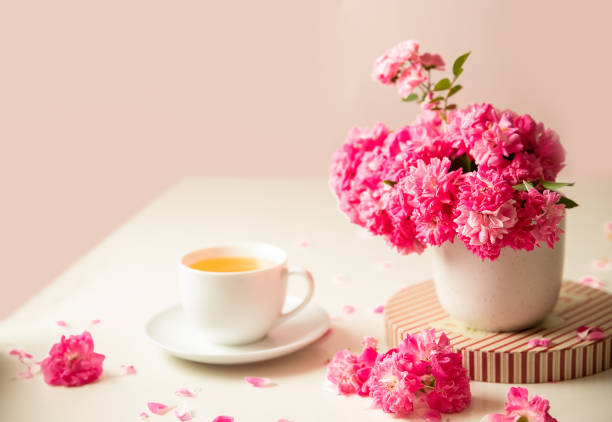 roses and tea cup served for breakfast on plain background, copy space for text, valentine's day, wedding or anniversary morning decorations.