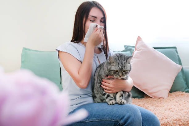 istock young woman is sneezing from fur allergy 1366399082