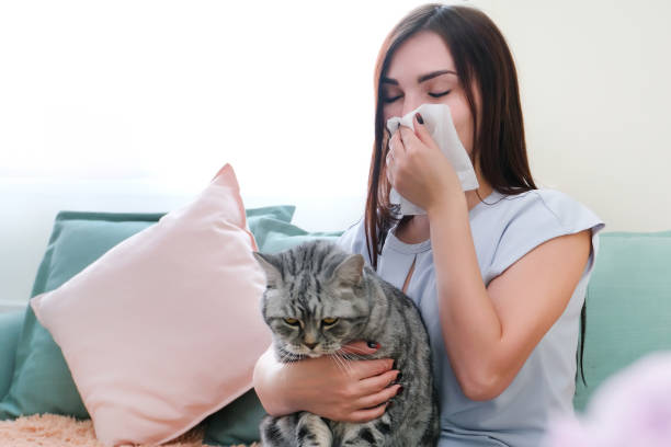 istock young woman is sneezing from fur allergy 1366399093