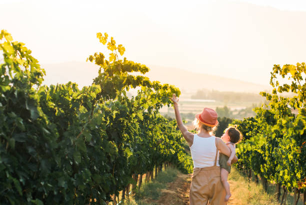 istock mother walking with her baby in vineyards 1366399473