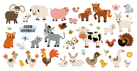 Big vector farm animals set. Big collection with cow, horse, goat, sheep, duck, hen, pig and their babies. Country birds illustration pack. Cute mother and baby icons. Rural themed nature collection