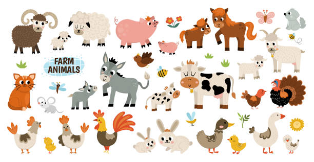 Big vector farm animals set. Big collection with cow, horse, goat, sheep, duck, hen, pig and their babies. Country birds illustration pack. Cute mother and baby icons. Rural themed nature collection Big vector farm animals set. Big collection with cow, horse, goat, sheep, duck, hen, pig and their babies. Country birds illustration pack. Cute mother and baby icons. Rural themed nature collection domestic animals stock illustrations