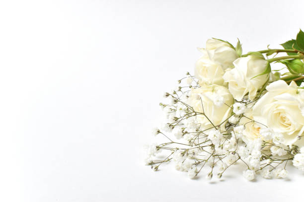 istock A postcard with white roses on a white background. A holiday card. Valentine's day, wedding, wedding, birthday. Space for copying. Flat position, top view. 1366402888