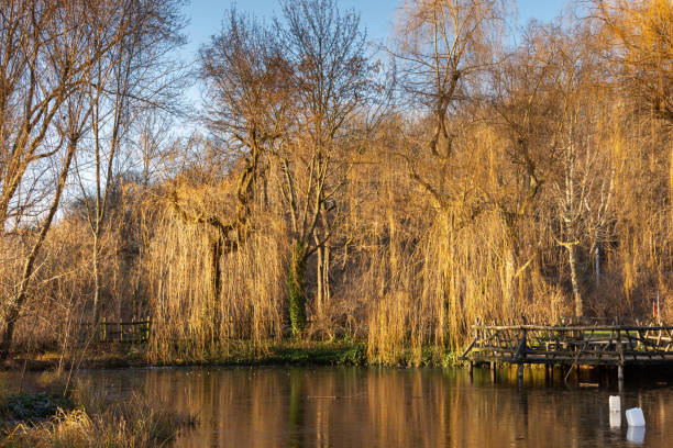 istock Fountain in the park Volkspark Friedrichshain 1366403253