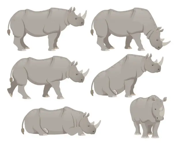 Vector illustration of African rhinoceros set