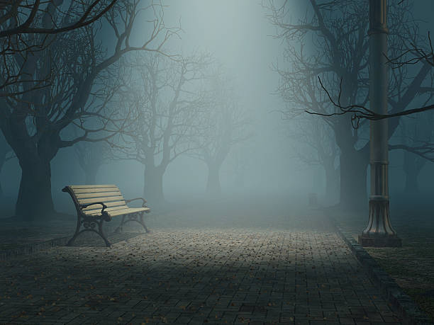 lonely ベンチで misty 公園 - nobody horror spooky road ストックフォトと画像