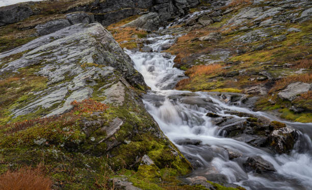 istock A mountain stream in the Strynefjellet Mountains in Norway that flows from the Skjerdingdalsbreen Glacier 1366406494