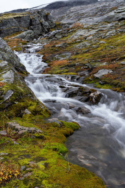 istock A mountain stream in the Strynefjellet Mountains in Norway that flows from the Skjerdingdalsbreen Glacier 1366406501