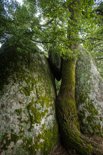istock Prehistoric rock sanctuary Beglik Tash in Bulgaria 1366407947