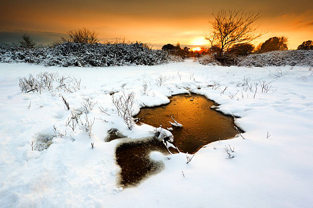 Frozen Pool Sunset over a snowy field in Christchurch, Dorset christchurch england photos stock pictures, royalty-free photos & images