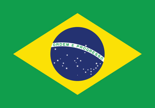 브라질 국기 벡토르 일러스트레이션 - 브라질 국기 stock illustrations
