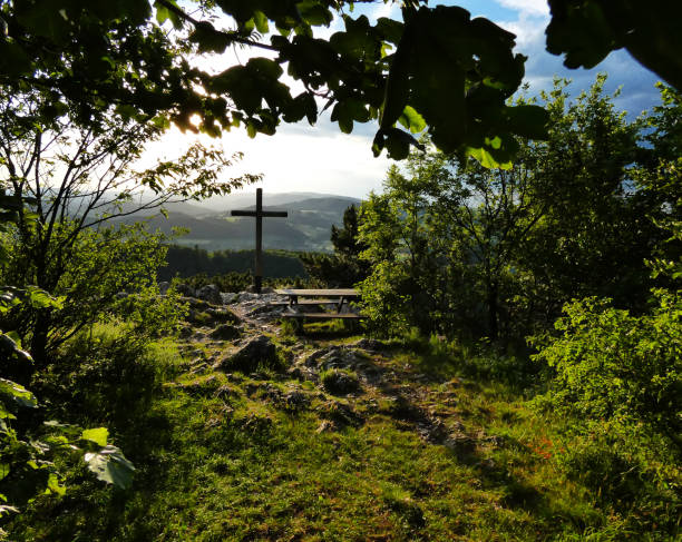 istock Wooden cross on the edge between the trees 1366410866