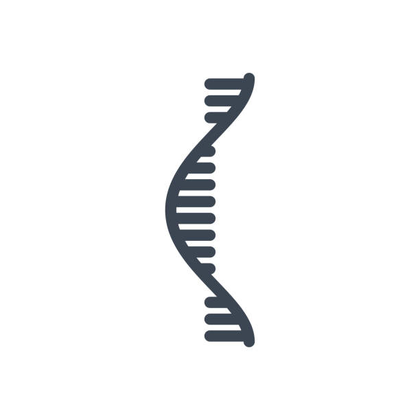 illustrations, cliparts, dessins animés et icônes de icône de glyphe vectoriel lié à l’arn - human rna