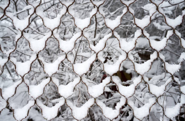 istock Fence net accumulated with snow, textural effect, background 1366413970