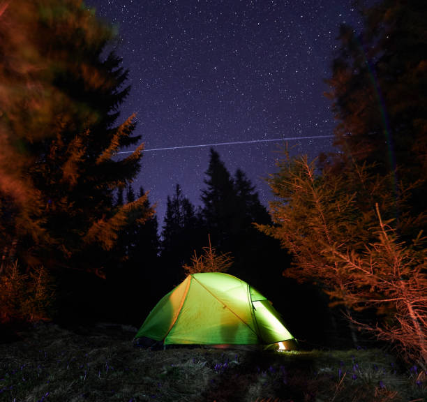 istock Tourist tent under magical starry sky with satellites 1366419104