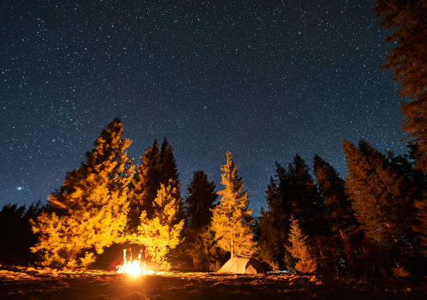 istock Mountaineering camp with touristic equipment during active weekends 1366419111