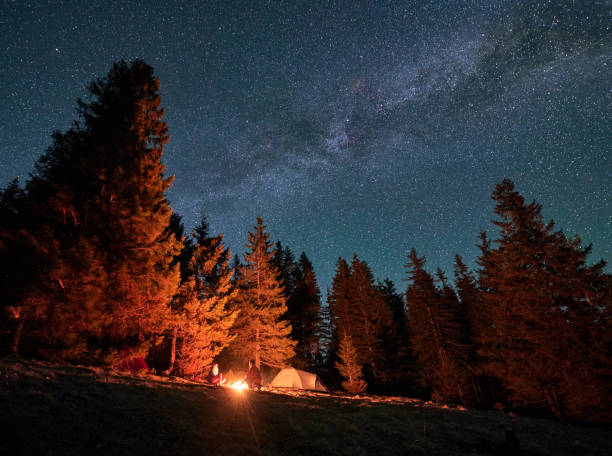 istock Pair vacationers at bonfire in mountains under starry sky. 1366419141