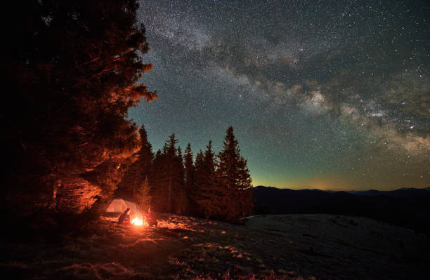 istock Two tourists resting by fire during night camping in mountains. 1366419144