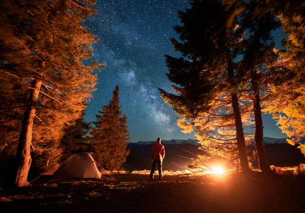 istock Night camping under starry sky among the trees. 1366419159