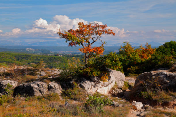 Unspoiled landscape in the Haute Provence between Forcalquier and Sigonce