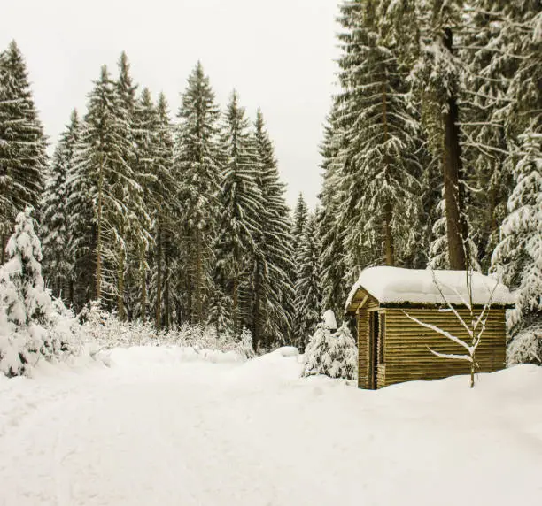 wooden cabin in a snow covered forest winterwonderland landscape background